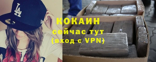амф Гусиноозёрск