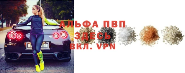 амф Гусиноозёрск