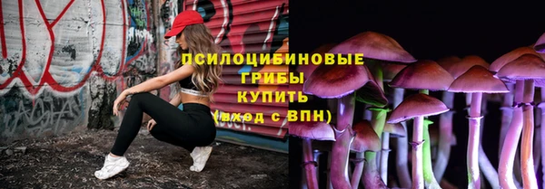 прущий лед Гусев